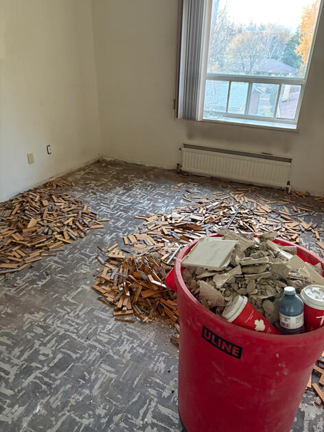 Parquet floor and baseboard removal